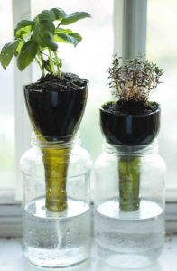 Wine Bottle Planters Instructions