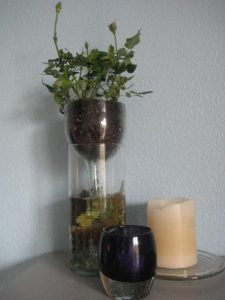 Wine Bottle Planter Tutorial