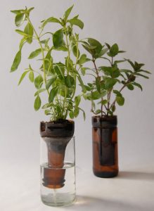 Wine Bottle Planters