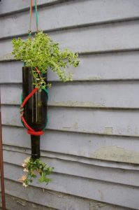 Wine Bottle Upside Down Planter