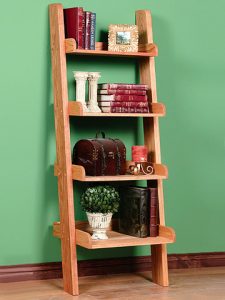 Bookshelf Ladder
