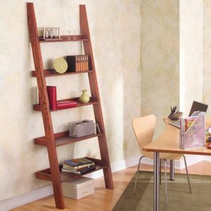 DIY Ladder Bookshelf