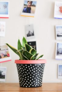 DIY Painted Flower Pot