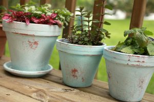 Distressed Painted Flower Pots