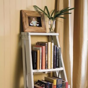 Ladder Style Bookshelf