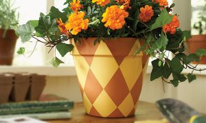 Paint a Flower Pot