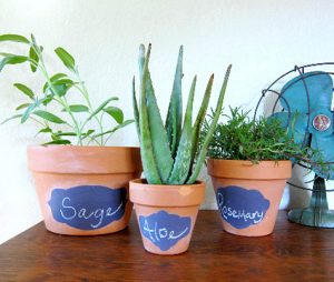 Painted Flower Pot Designs