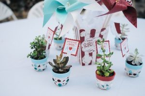 Painted Terracotta Flower Pots