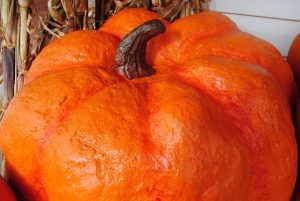 Paper Mache Giant Pumpkin