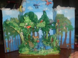 Forest Diorama in a Shoebox