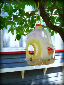 Gallon Milk Jug Bird Feeder