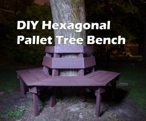 Pallet Bench around Tree