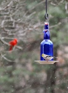 Wine Bottle Bird Feeder Perch