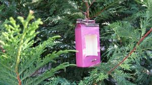 DIY Milk Carton Bird Feeder