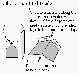 Milk Carton Bird Feeder Instructions
