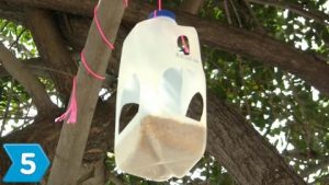 Plastic Milk Carton Bird Feeder