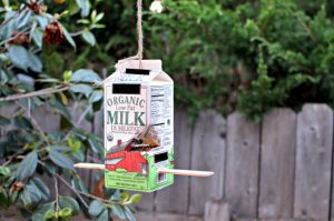 School Milk Carton Bird Feeder