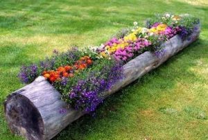 Log Planter