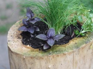 Log Planter How to Make