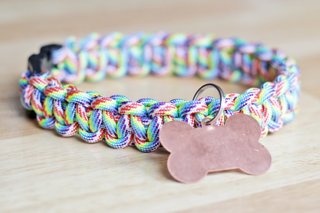 7 Dog Collar Patterns | Guide Patterns