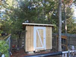 Building a Chicken Coop with Pallet