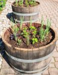 8 Wine Barrel Planter How -Tos | Guide Patterns