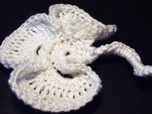 Crochet Wild Rose