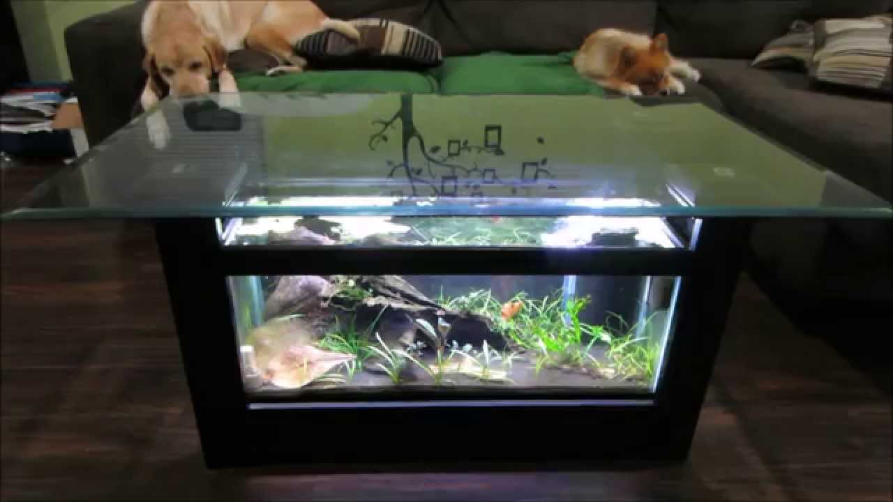 Aquarium Fish Tank Coffee Table: 8 Unique Designs Guide ...