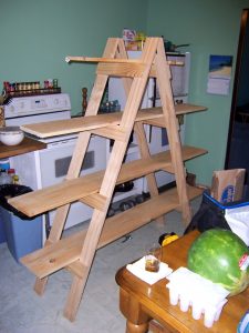 Step Ladder Bookshelf