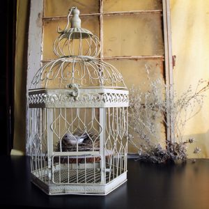 Birdcage Earring Holder