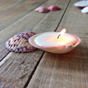 Seashell Candle Image