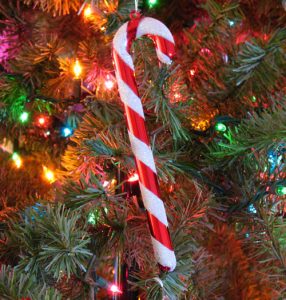 Candy Cane on Christmas Tree