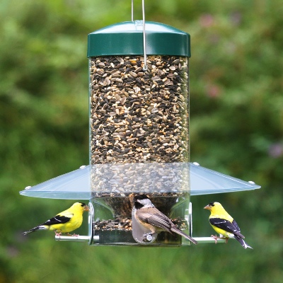 Bird Feeders Guide Patterns