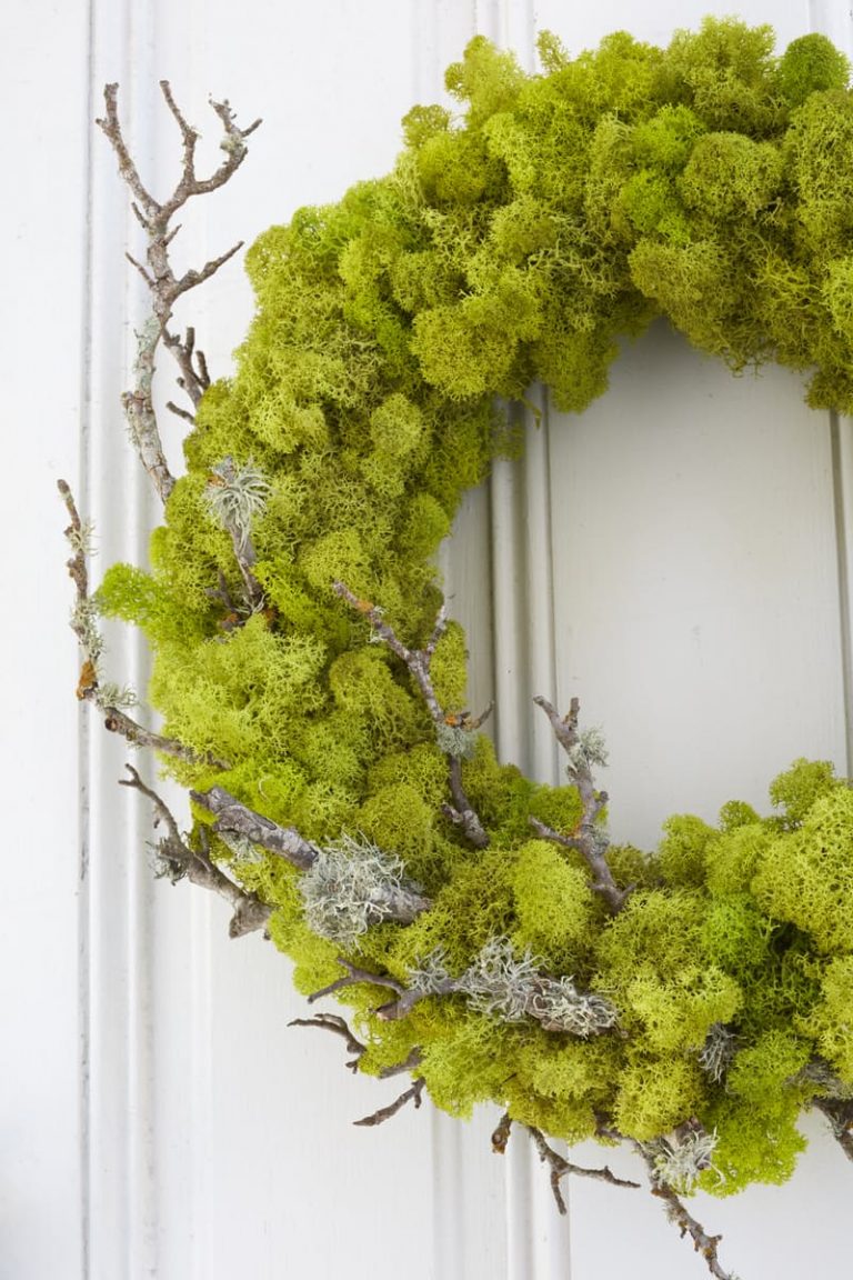 36 DIYs and Ideas on Making a Twig Wreath Guide Patterns