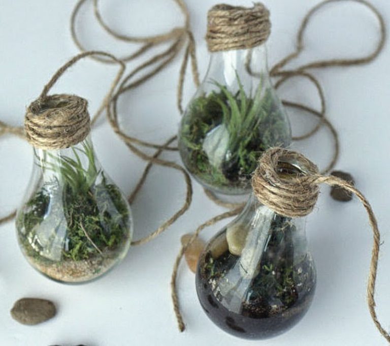 17 Light Bulb Terrarium DIY Ideas Guide Patterns