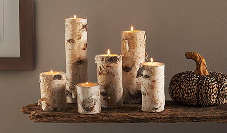 Christmas Birch Tealight Holder Real Birch Log Candle Holders Wooden Tealight Candleholder Succulent Plant Holder for Home Party Fireplace Decoration Pack of 4 Same Height 2.36x2.36 