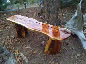 20 Plans to Build a Rustic Bench from Logs Guide Patterns