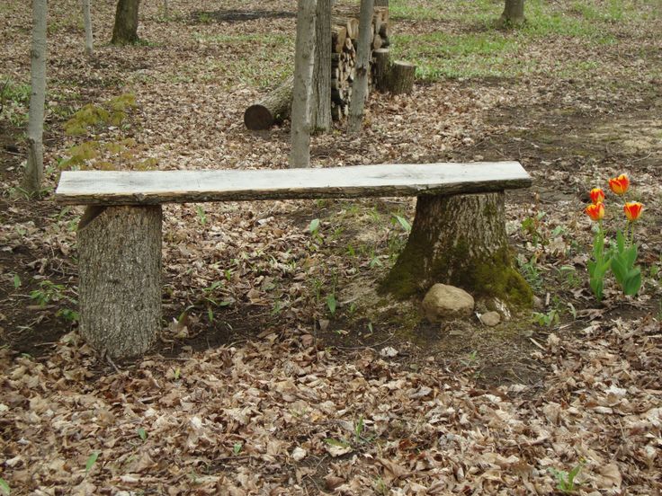 20 Plans to Build a Rustic Bench from Logs | Guide Patterns