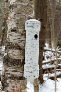 11 Ways to Make a Bird  Feeder out of PVC Pipe Guide 