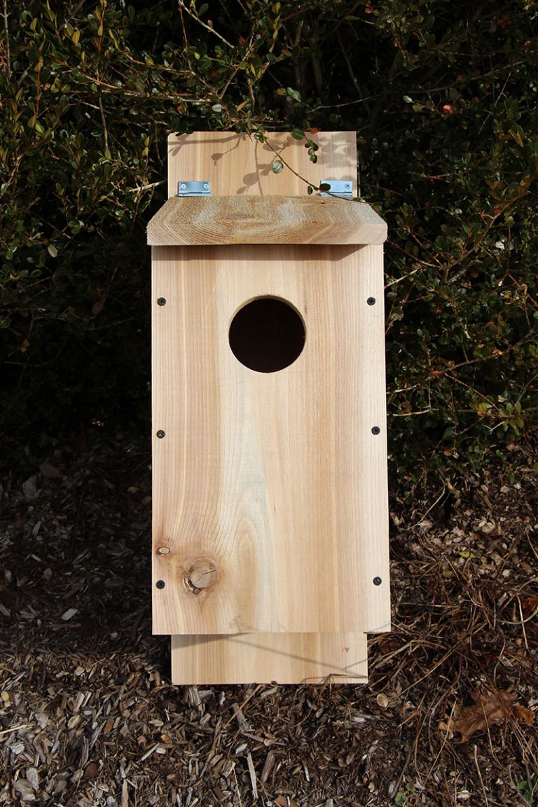 38 Free Birdhouse Plans Updated for 2022 Guide Patterns