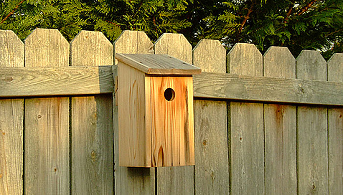 38 Free Birdhouse Plans  Guide Patterns