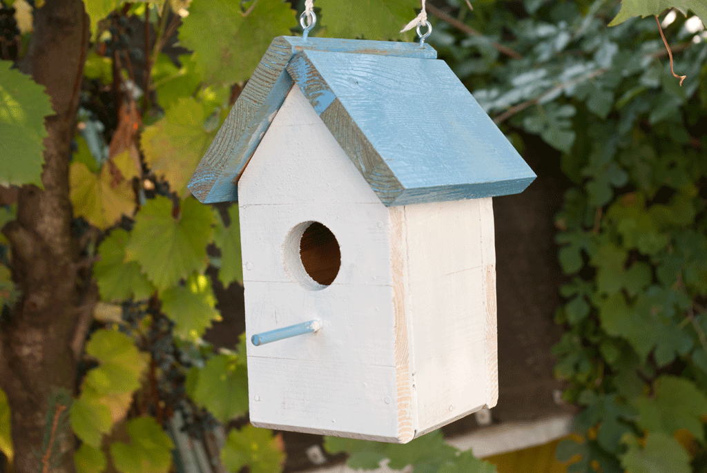 Nuthatch Birdhouse Plans