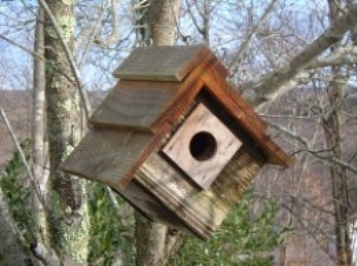 38 Free Birdhouse Plans Guide Patterns