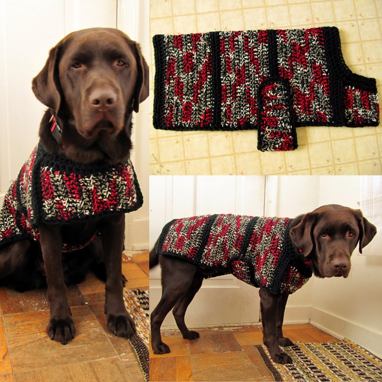 26 Free Crochet Dog Sweater Patterns | Guide Patterns