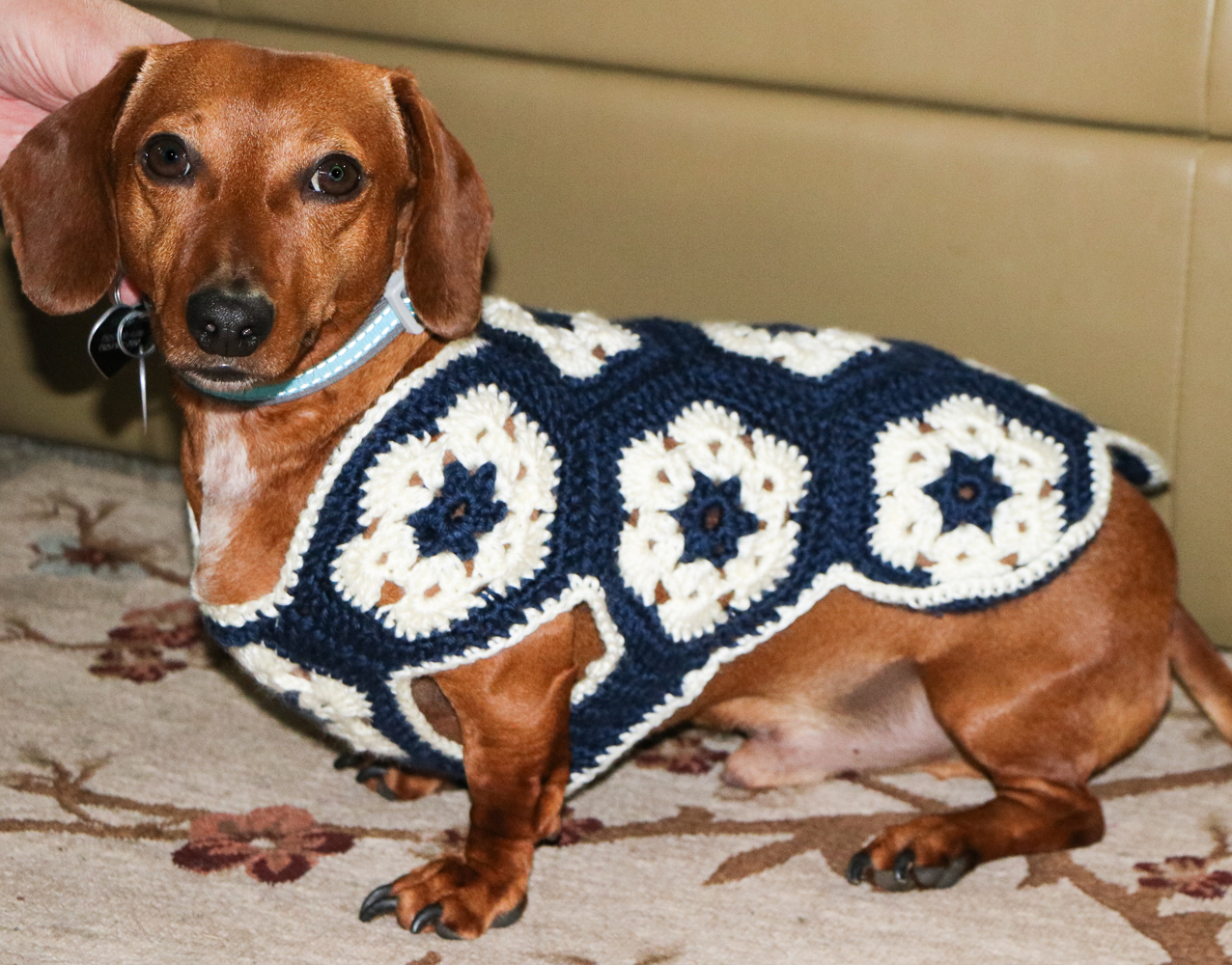 25 Beautiful Crochet Dog Sweater Patterns The Funky Stitch