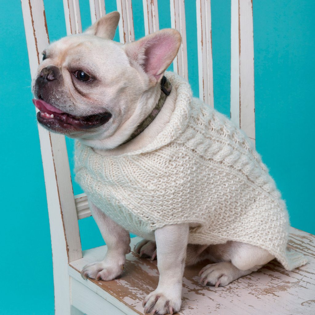 26 Free Crochet Dog Sweater Patterns | Guide Patterns