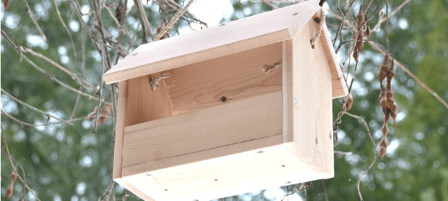 16+ DIYs to Make a Wooden Bird Feeder Guide Patterns