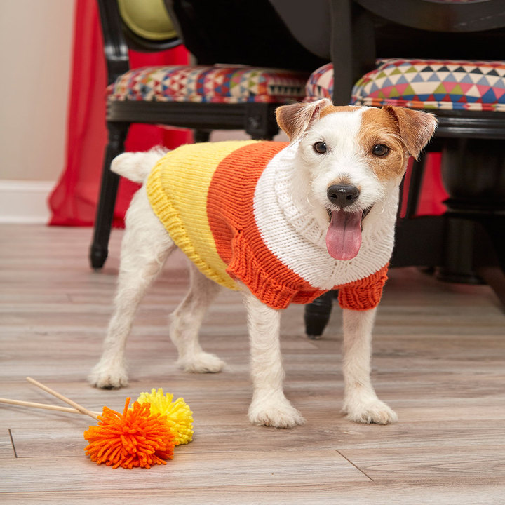 free-knitting-dog-sweater-patterns-for-beginners-how-cardigans-look