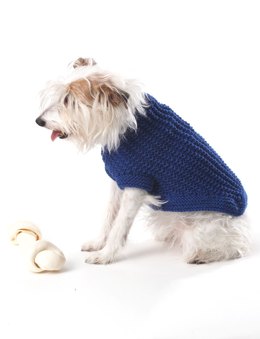 easy on dog sweater