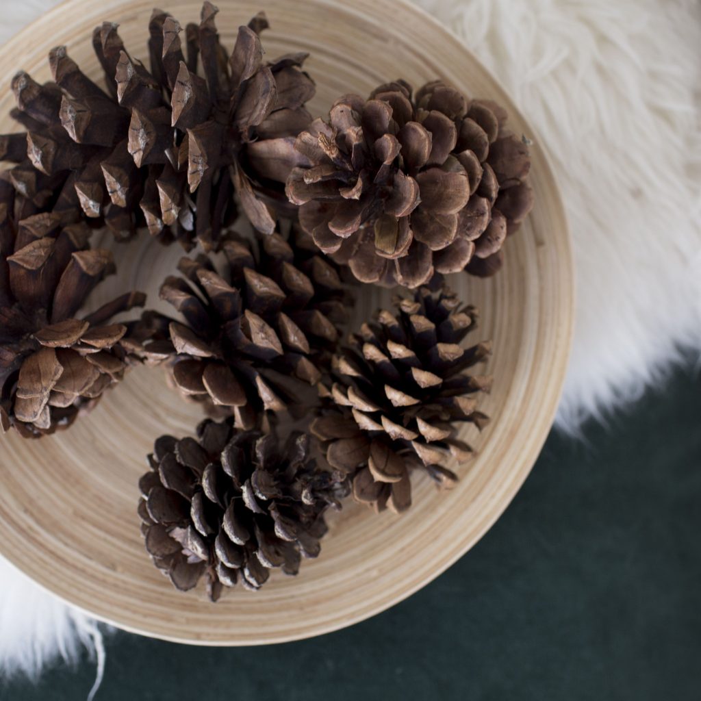 8 Scented Pine Cones for You to Make Guide Patterns